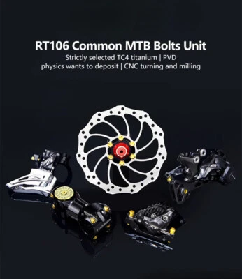 Titanium Alloy Screw Set for MTB Bike The Disc Screw of Vertical Disc Brake Seat - Image 1 of 4