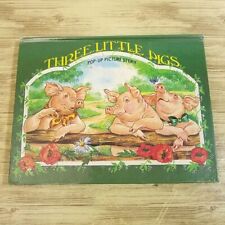 Picture Book In Progress Wojciech Kva��ta Three Little Pigs Pop-Up Story English