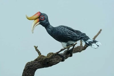 CIXMODELS 1:20/90mm CixM9002 ANIMAL BUCERO RHINOCEROS unpainted (no 75mm 54mm)  - Immagine 1 di 4