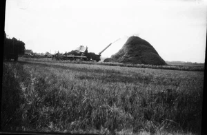 BLACK & WHITE NEGATIVE * snapshot FARM FIELD Trashing grain mules straw pile - Picture 1 of 3