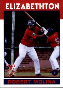 2016 Elizabethton Twins Grandstand #25 Robert Molina Venezuela VZ Baseball Card