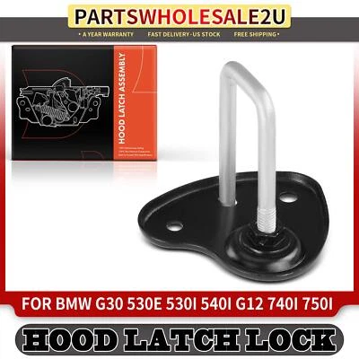 Bloqueo de cierre de capó para BMW 530e 530e xDrive 530i 530i xDrive 540d xDrive 540i X6 Foto 1 de 4