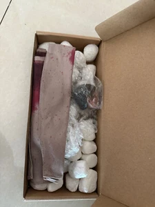 Carol Peletier The Walking Dead Melissa McBride F  1/6 Figure Without Body CT003 - Picture 1 of 4