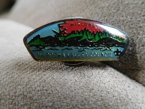 DQ SCOUT BSA HAT PIN CSP SHAPE CHIPPEWA VALLEY COUNCIL WISCONSIN WI CLUTCH BACK - Picture 1 of 3