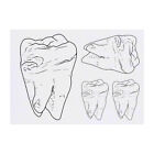 4 x &#39;Rotten Tooth&#39; Temporary Tattoos (TO00058818)