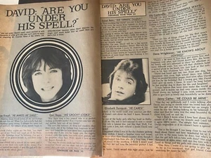 David Cassidy, Two Page Vintage Clipping, aa - Bild 1 von 1