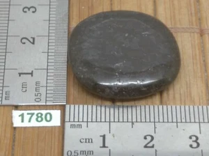 NUMITE pierre plate - Rare - shamane lithotherapie reiki esoterisme galet - Picture 1 of 2