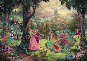 Disney Sleeping Beauty Cartoon Painting Large Art Framed Canvas Picture 20x30" - Picture 1 of 1
