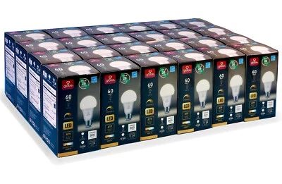 24 Globe Electric 60W Equivalent 9W Dimmable LED Light Bulbs A19 Base 3000K w/ 8 - Image 1 of 3