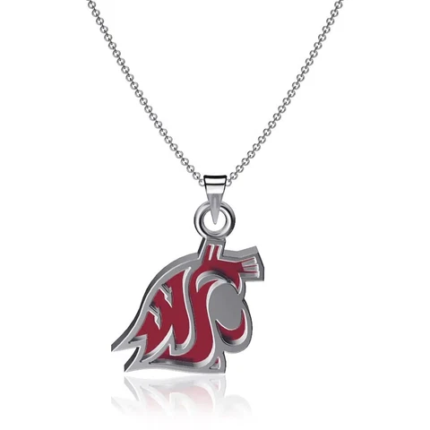 Dayna Designs Washington State Cougars Enamel Small Pendant Necklace Cover