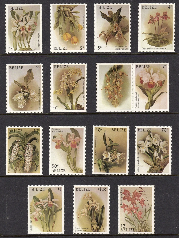 1987 Belize Christmas Reichenbachia Orchids 14 values MNH stamps - Image 1 of 1