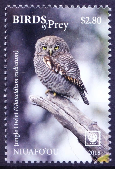 Niuafo ou 2018 MNH, Jungle Owlet, Owls, Birds of Prey Foto 1 de 1