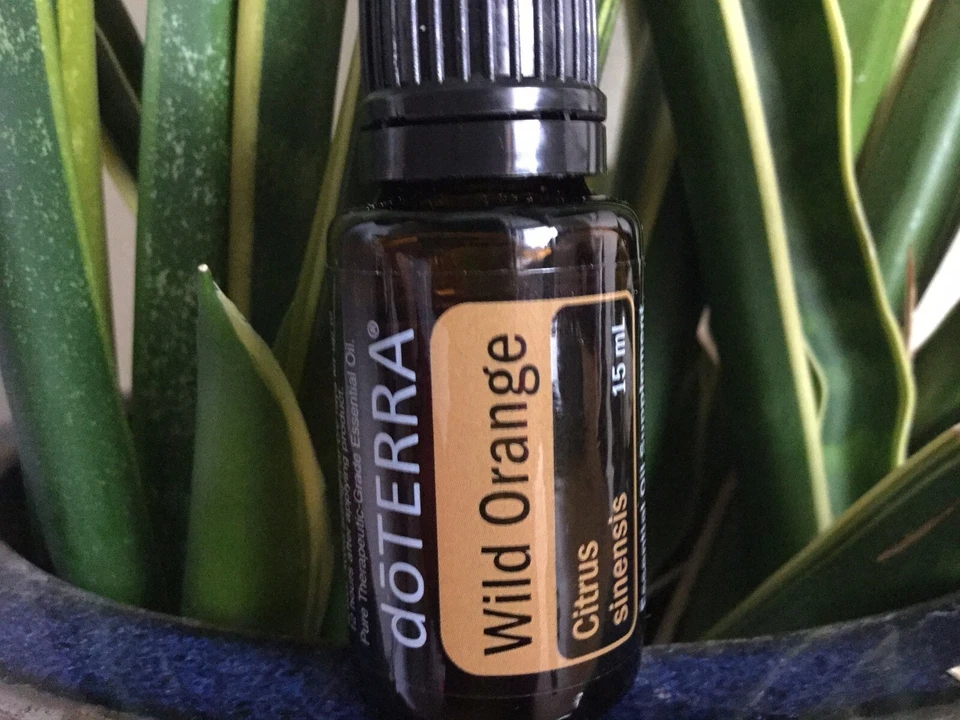 Aceite esencial de naranja silvestre doTERRA 15 ml NUEVO Y SELLADO caducidad 26/08 Foto 1 de 1