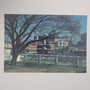 The Knoxville Collection Tennessee City View Vintage Continental Chrome Postcard - Picture 1 of 6