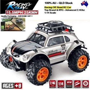 Kids Remote Control Car RC Racing Buggy Off-Road RC Truck Grey Toy Kids RC Car - Picture 1 of 11