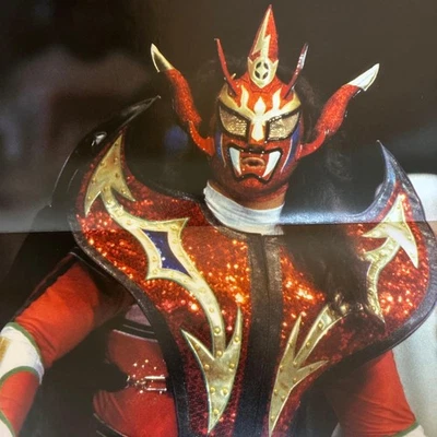 Jushin Thunder Liger 职业摔跤海报 60 厘米 x 26 厘米,二手,AJW NJPW Puro — 第 1/2 张图片