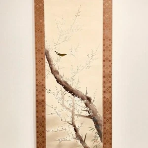 Pergamino colgante japonés pintura curruca ciruela blanca con caja asiática antigua 810 - Imagen 1 de 7
