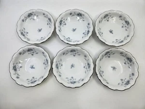 Set of 6 Johann Haviland Blue Garland Fruit Bowls Bavaria Germany China 5.25" - Imagen 1 de 11
