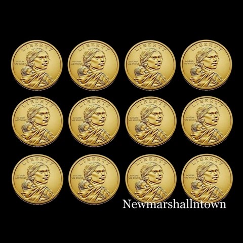 2005 2006 2007 2008 2009 2010 P+D Sacagawea North American BU from Mint Rolls Cover