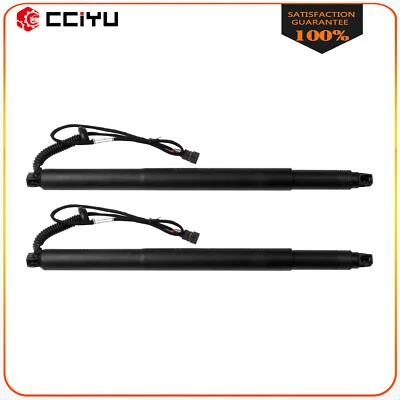 Rear Pair L & R Liftgate Tailgate Lift Supports Strut For 2015-2019 BMW X6 Foto 1 de 4