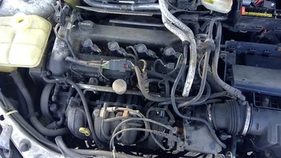 Grille Lower Cover Mounted Excluding SVT With Fog Lamps Fits 00-04 FOCUS 272865 Foto 1 de 4