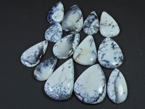 13Pcs Natural Dendrite Opal Pear Shape Cabochon Loose Gemstone Lot 324cts. m786 - Bild 1 von 9