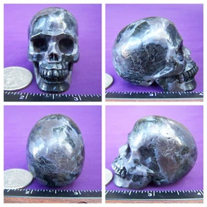 1.99" Indigo Gabbro Skull Carved Stone 3.5oz 97.8g Crystal Healing Realistic - Picture 1 of 12