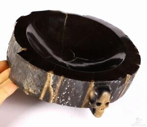 Original Design 8.1" Black Petrified Wood Carved Crystal Skull Plate, Realistic