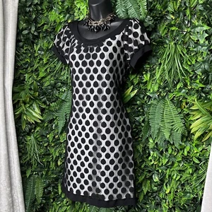 ENFOCUS STUDIO Dress Women 8 Black White Polka Dot Short Sleeve Sheath 2090 - Picture 1 of 7