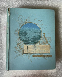 The Sea And Its Wonders By Mary And Elizabeth Kirby 1896 Good Condition - Picture 1 of 9