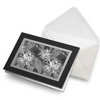 Greetings Card (Black) BW - Tropical Lily Plant Flower  #42175