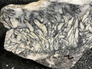 Z~ Pinolite faccia grezza fr Austria 4 libbre - Foto 1 di 5