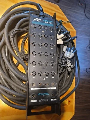 PEAVY 24 CHANNEL 100 FOOT SNAKE ALL XLR SEND AND RECEIVE - Image 1 of 4