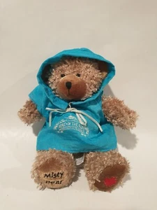Niagara Falls MISTY BEAR Maid of the Mist Raincoat Glitter 8" Souvenir Canada - Picture 1 of 7