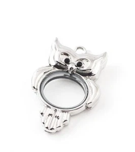 23MM Crystal Floating Charms Living Memory Owl Glass Locket Pendant No Chain - Picture 1 of 1
