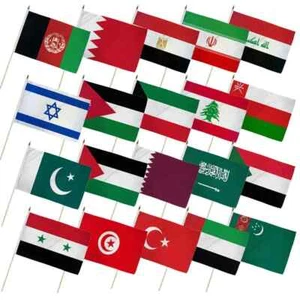 Set of 20 Middle East 12x18in Country Stick Flags - Picture 1 of 2