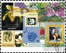 Fogli in miniatura Fiori : 50 diversi Collezione