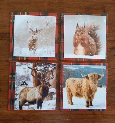 Handmade Christmas Cards, 4 Pack  – Photos British Native Animals - Image 1 of 4
