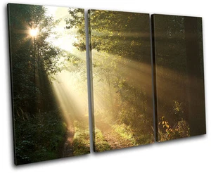 Forest Landscapes TREBLE CANVAS WALL ART Picture Print VA - Picture 1 of 1