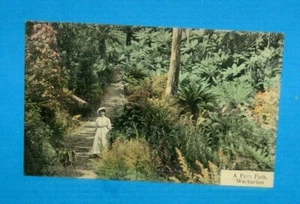 Post Card Vintage A Fern Path Warburton - Picture 1 of 1