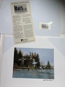 1994 Oregon State Waterfowl Stamp & Print Signed Print - Richard Plasschaert - Picture 1 of 11