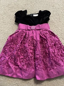SWEET HEART ROSE TODDLER GIRLS HOLIDAY DRESS SZ 3T PURPLE BLACK - Picture 1 of 6