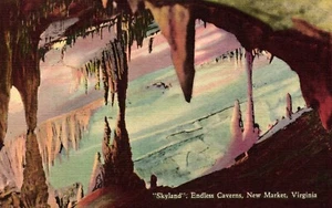 Skyland Endless Caverns New Market Virginia Postcard March Posted - Picture 1 of 2