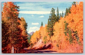 Postcard Mountain Roadway Through The Aspens Fall Autumn Leaves Vintage c1960s - Picture 1 of 2