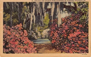 Postcard GA: Wormsloe Gardens, Savannah, Georgia, Vintage Linen, Unposted - Picture 1 of 2