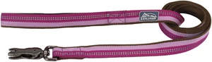 Pet K9 Explorer Reflective Dog Leash with Scissor Snap - Durable Nylon Leash - L - Picture 1 of 2