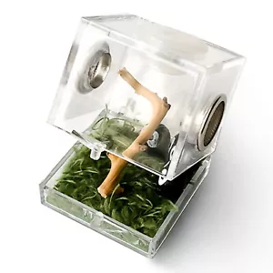 Portable Acrylic Reptile Enclosur Breeding Box Transparent Insect Feeding Boxes - Picture 1 of 12