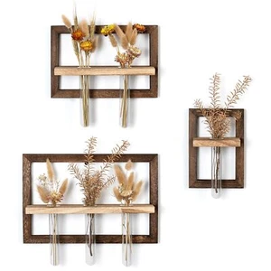 Wall Planter Propagation Stations - Hanging Glass Terrarium Tube Vase with Wo... - Picture 1 of 7