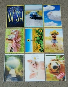  Lot 9 NEW Avanti Birthday TY Blank Funny Animal Greeting Cards & Envelopes - Picture 1 of 1