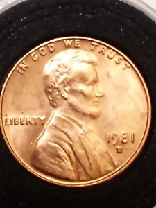 **NEWLY FOUND **1981 D LINCOLN CENT DOUBLED DIE REVERSE - Picture 1 of 12